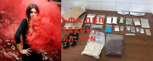 гашик Алексеевка