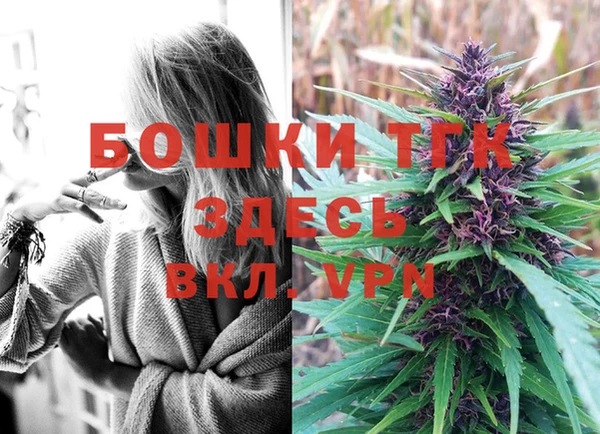 гашик Алексеевка