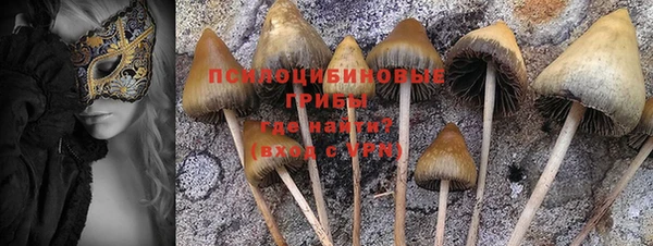 гашик Алексеевка