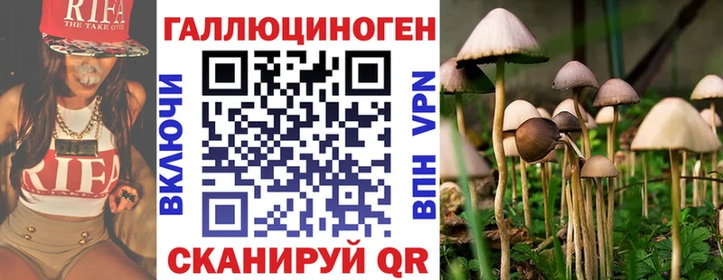 Псилоцибиновые грибы прущие грибы  Сосновка 