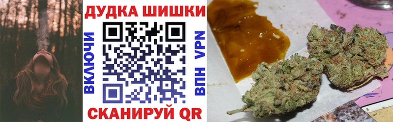 купить наркоту  Сосновка  гидра онион  МАРИХУАНА ГИДРОПОН 
